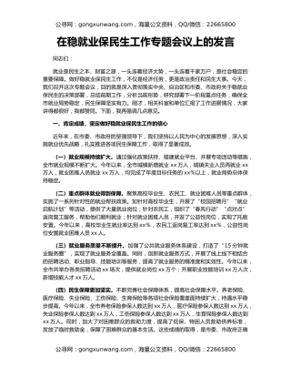 在稳就业保民生工作专题会议上的发言