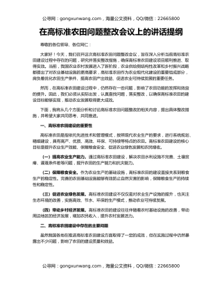 在高标准农田问题整改会议上的讲话提纲