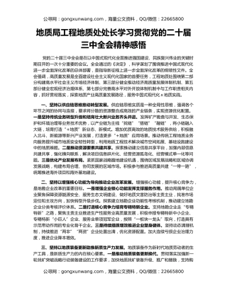 地质局工程地质处处长学习贯彻党的二十届三中全会精神感悟