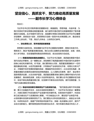 坚定信心、真抓实干，努力推动高质量发展——副市长学习心得体会