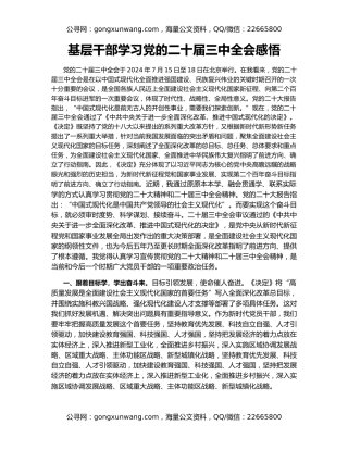 基层干部学习党的二十届三中全会感悟