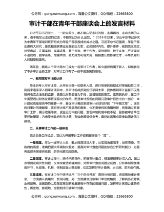 审计干部在青年干部座谈会上的发言材料