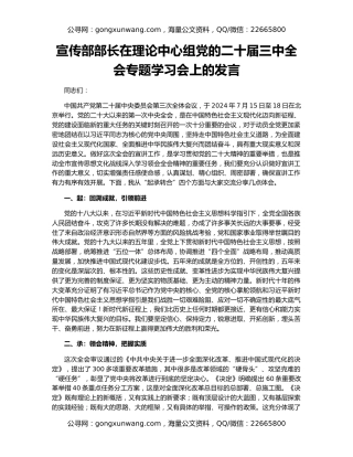宣传部部长在理论中心组党的二十届三中全会专题学习会上的发言