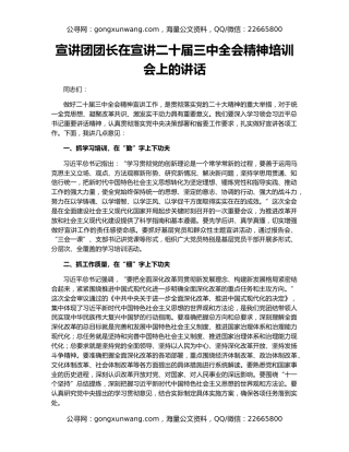 宣讲团团长在宣讲二十届三中全会精神培训会上的讲话