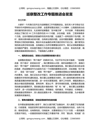 巡察整改工作专题推进会发言