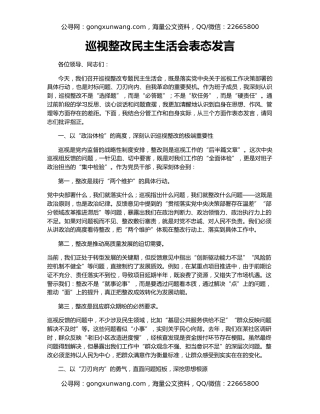 巡视整改民主生活会表态发言