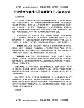 市供销合作联社机关党委新任书记表态发言