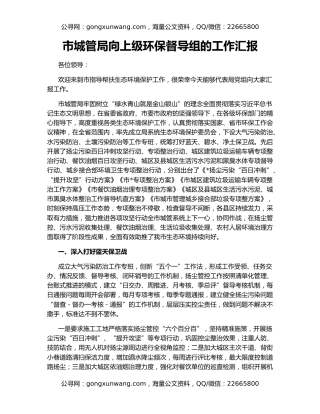 市城管局向上级环保督导组的工作汇报