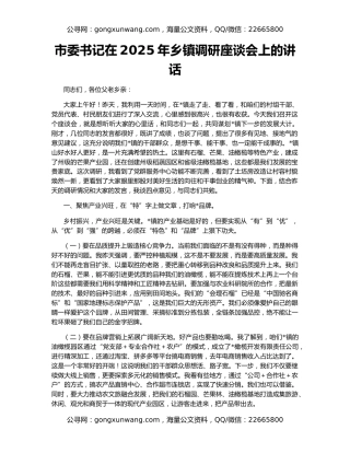 市委书记在2025年乡镇调研座谈会上的讲话