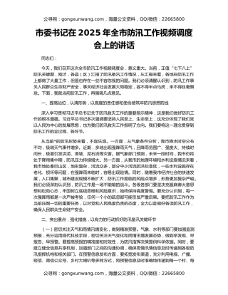 市委书记在2025年全市防汛工作视频调度会上的讲话