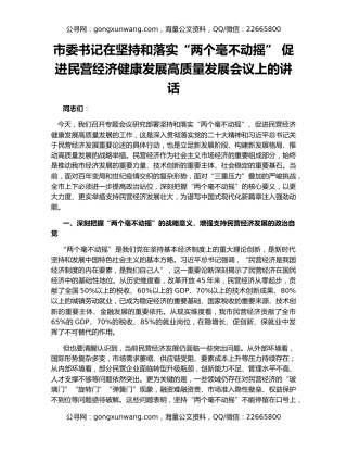 市委书记在坚持和落实“两个毫不动摇” 促进民营经济健康发展高质量发展会议上的讲话