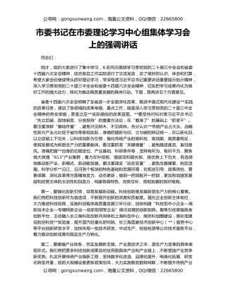市委书记在市委理论学习中心组集体学习会上的强调讲话