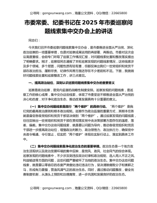 市委常委、纪委书记在2025年市委巡察问题线索集中交办会上的讲话