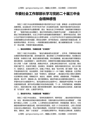 市委社会工作部部长学习党的二十届三中全会精神感悟