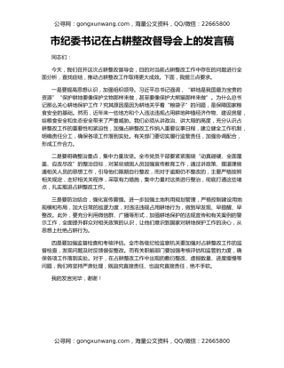 市纪委书记在占耕整改督导会上的发言稿