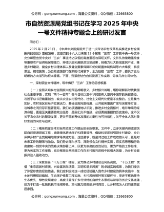 市自然资源局党组书记在学习2025年中央一号文件精神专题会上的研讨发言