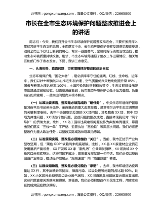 市长在全市生态环境保护问题整改推进会上的讲话