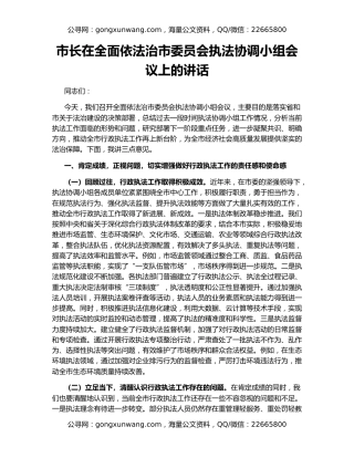 市长在全面依法治市委员会执法协调小组会议上的讲话