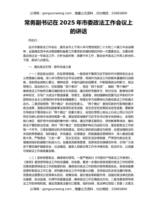 常务副书记在2025年市委政法工作会议上的讲话