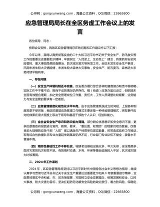 应急管理局局长在全区务虚工作会议上的发言