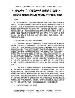 心得体会：在《民营经济促进法》背景下，以党建引领营商环境优化与企业信心重塑