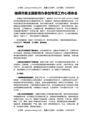 抽调市委主题教育办参加专项工作心得体会