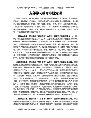 支部学习教育专题党课