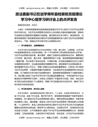 政法委副书记在巡学旁听县检察院党组理论学习中心组学习研讨会上的点评发言
