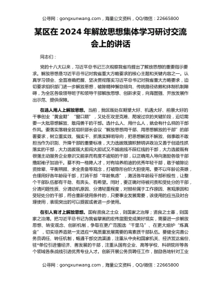 某区在2024年解放思想集体学习研讨交流会上的讲话
