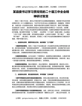 某县委书记学习贯彻党的二十届三中全会精神研讨发言