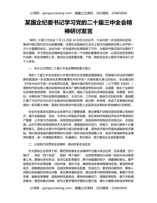 某国企纪委书记学习党的二十届三中全会精神研讨发言