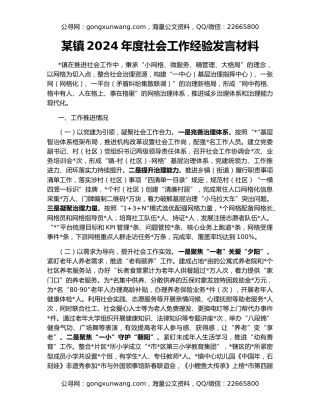 某镇2024年度社会工作经验发言材料