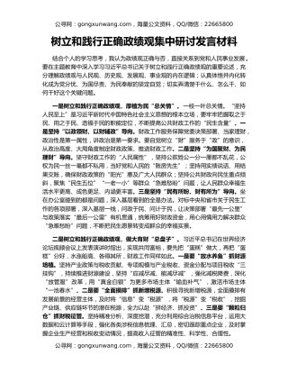 树立和践行正确政绩观集中研讨发言材料