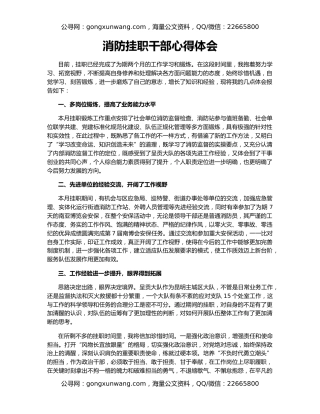 消防挂职干部心得体会