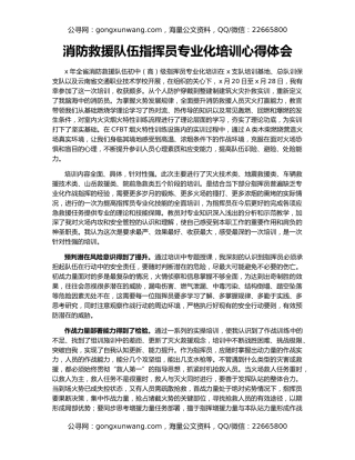 消防救援队伍指挥员专业化培训心得体会