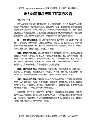 电力公司副总经理任职表态发言