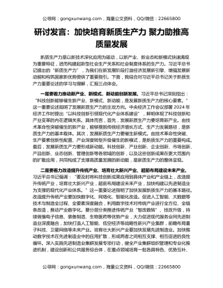 研讨发言：加快培育新质生产力 聚力助推高质量发展