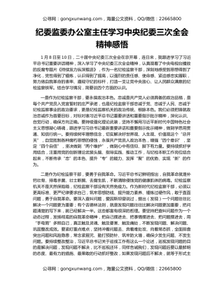 纪委监委办公室主任学习中央纪委三次全会精神感悟