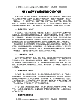 组工年轻干部培训班交流心得