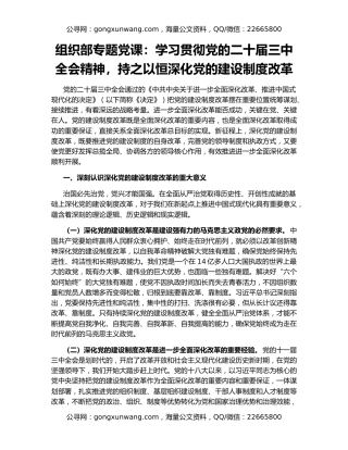 组织部专题党课：学习贯彻党的二十届三中全会精神，持之以恒深化党的建设制度改革