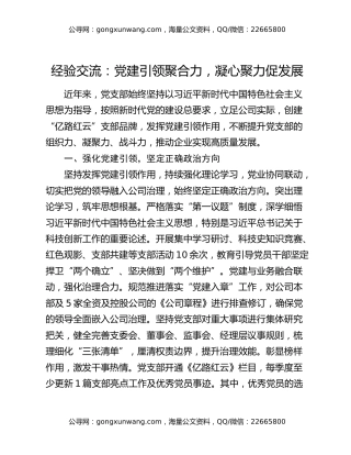 经验交流：党建引领聚合力 凝心聚力促发展