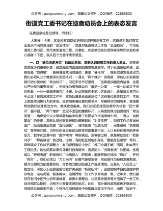 街道党工委书记在巡查动员会上的表态发言