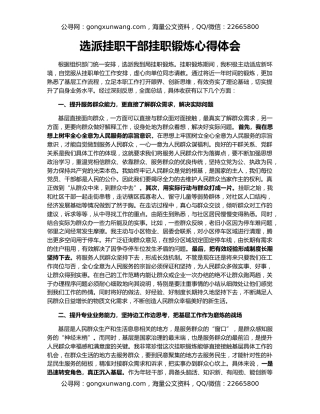 选派挂职干部挂职锻炼心得体会