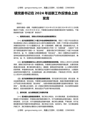 镇党委书记在2024年巡察工作反馈会上的发言