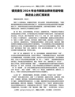 镇党委在2024年全市新就业群体党建专题推进会上的汇报发言