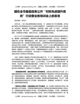 镇在全市基层政务公开“对标先进提升质效”行动暨业务培训会上的发言