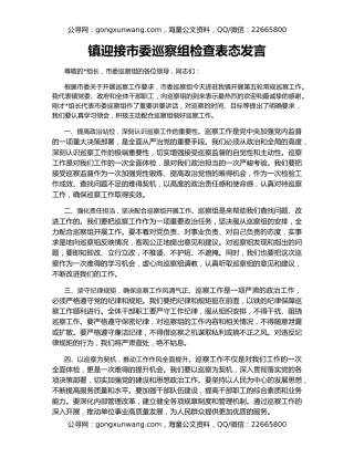镇迎接市委巡察组检查表态发言