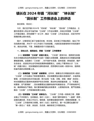 镇长在2024年镇“河长制”“林长制”“田长制”工作推进会上的讲话