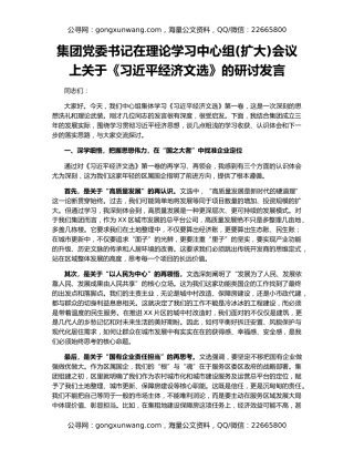 集团党委书记在理论学习中心组(扩大)会议上关于《习近平经济文选》的研讨发言