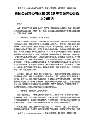 集团公司党委书记在2025年专题党委会议上的讲话